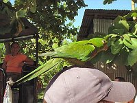 Foto 271